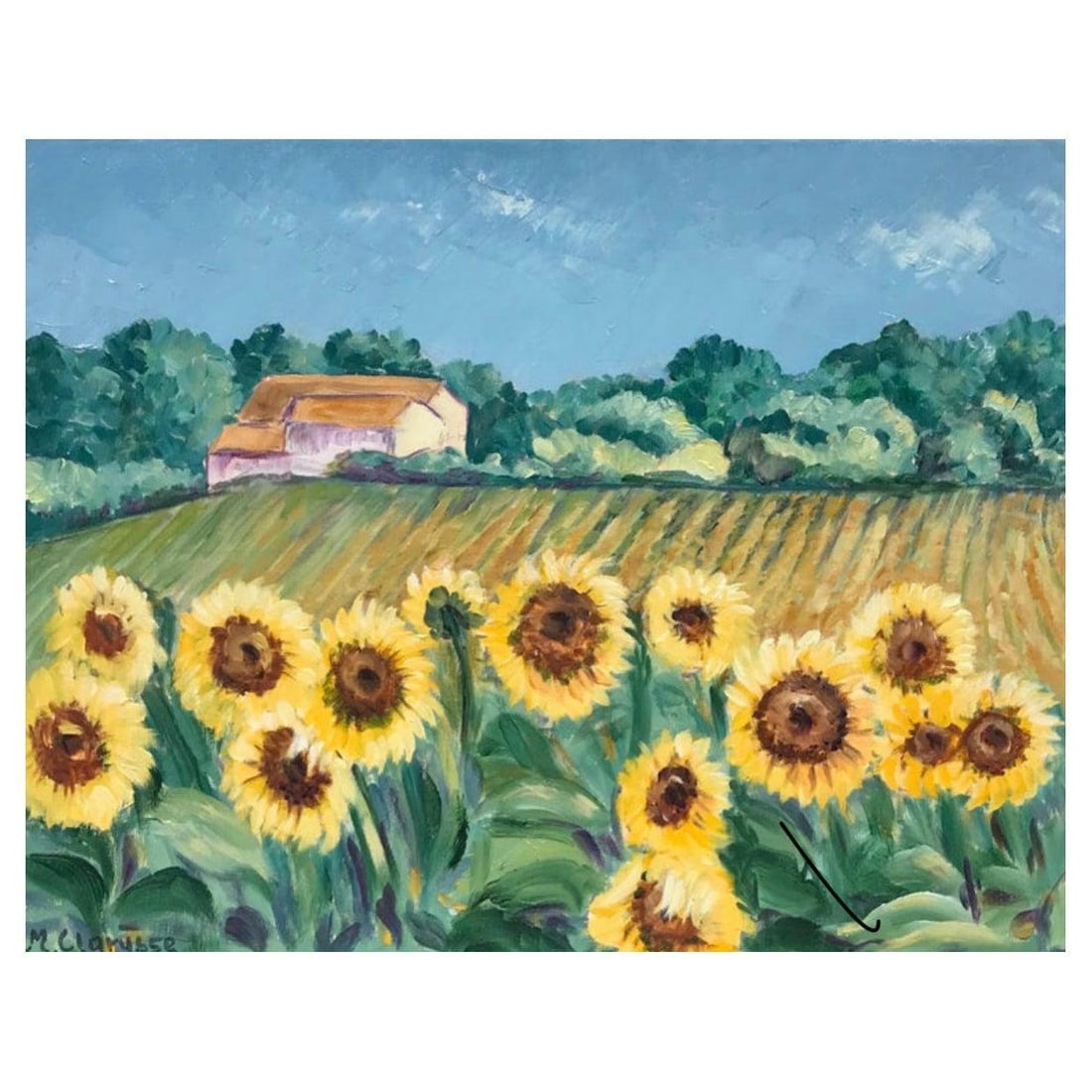 Bright and Colourful Sunflowers In Provence, 2000 - 4