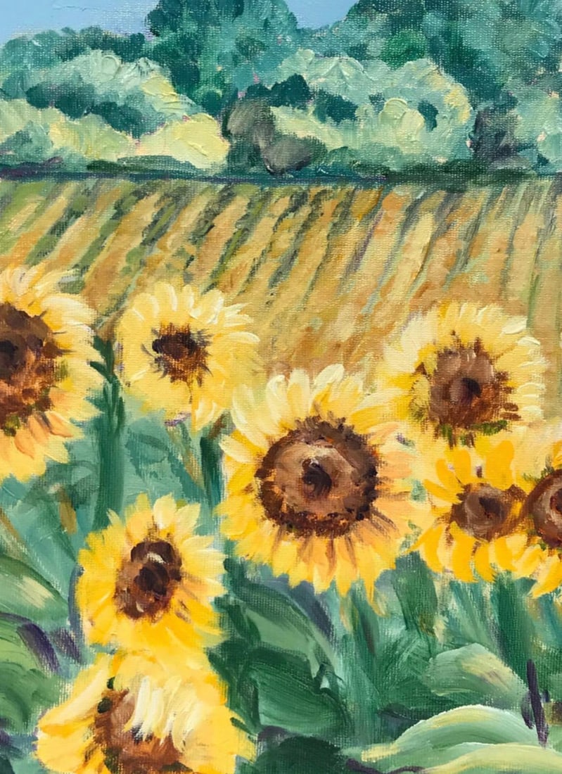 Bright and Colourful Sunflowers In Provence, 2000 - 6