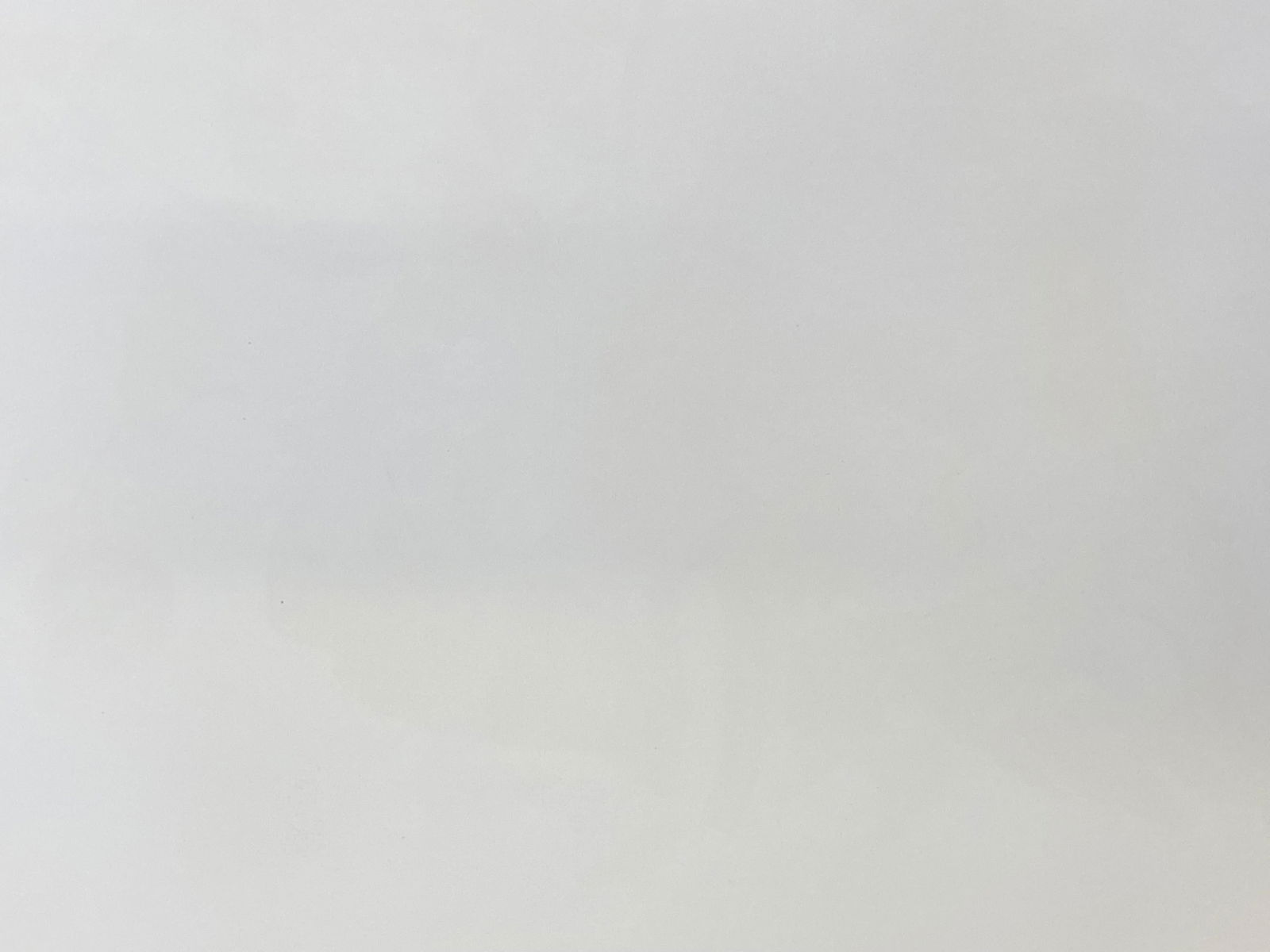 Large Classical Bird Color Print after John James Audubon, Canada Jay, 20th Century - 3