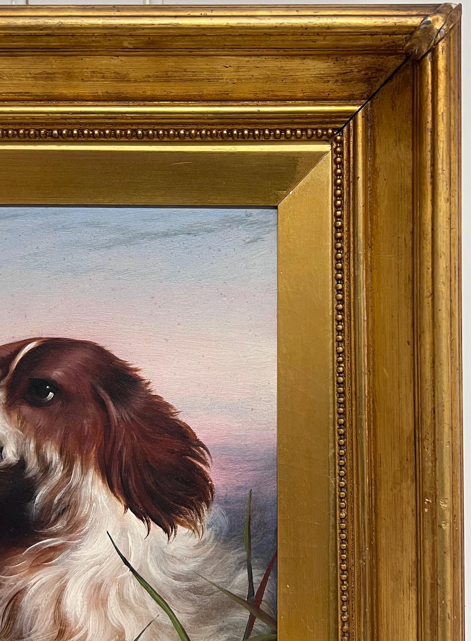 19th Century English School; Antique English 19th Century Victorian Oil Painting Head Portrait of - 14