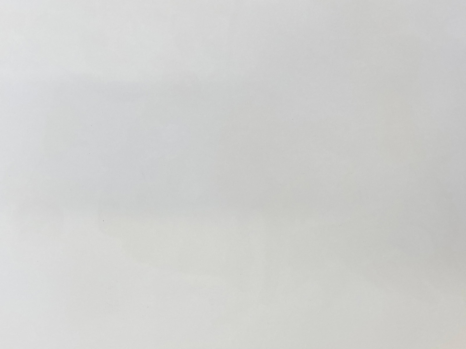 Large Classical Bird Color Print after John James Audubon, Summer or Woodduck, 20th Century - 9