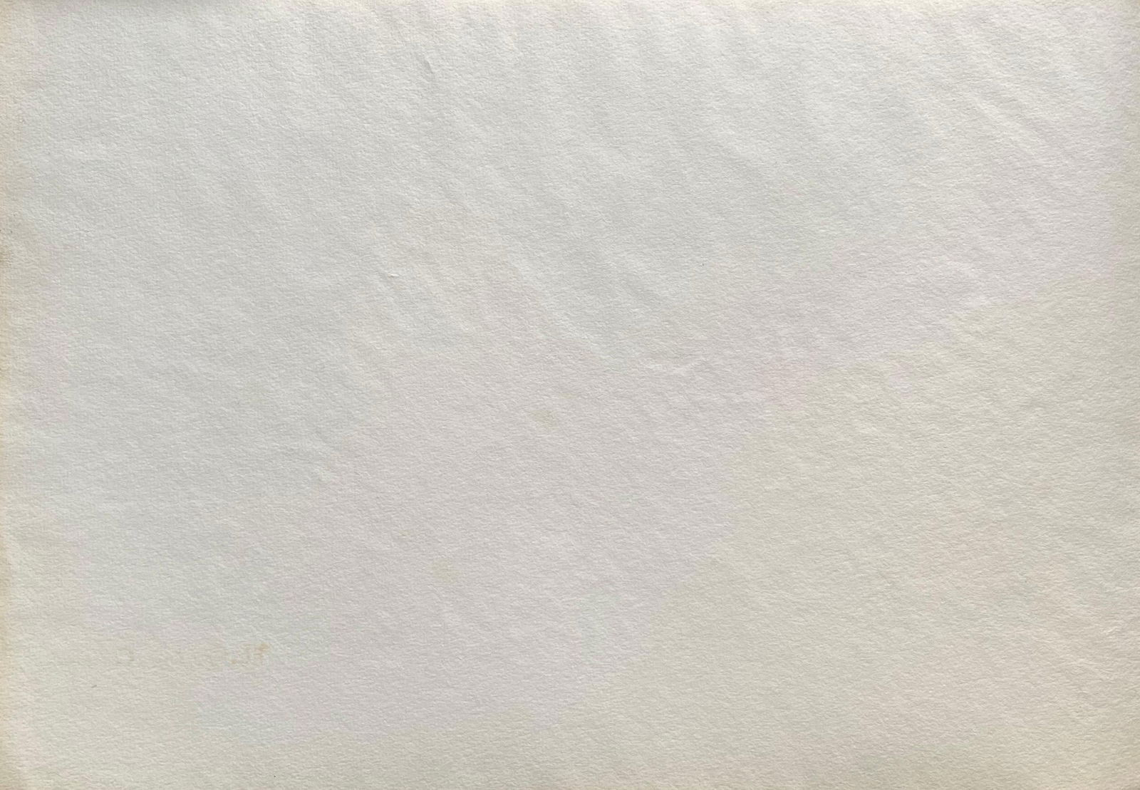 Early 1900's French Impressionist Signed Flower Watercolour by Marie Carreau, circa 1900s - 12