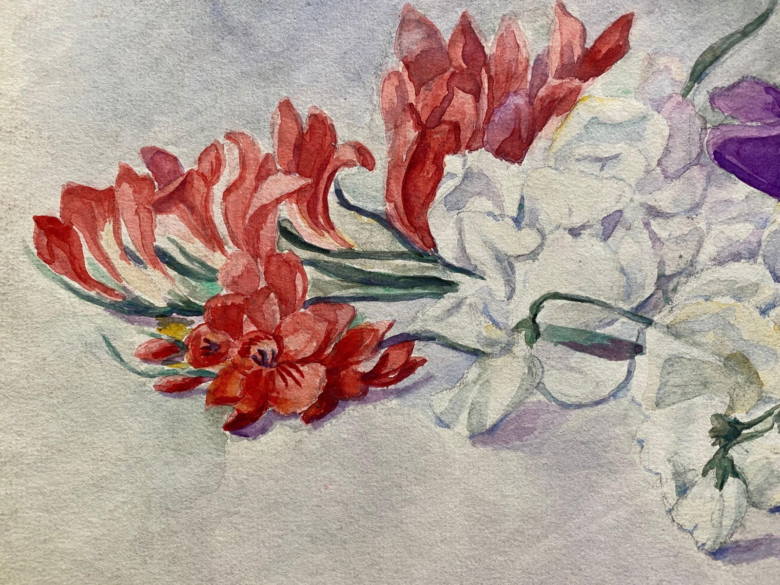 Early 1900's French Impressionist Signed Flower Watercolour by Marie Carreau, circa 1900s - 5