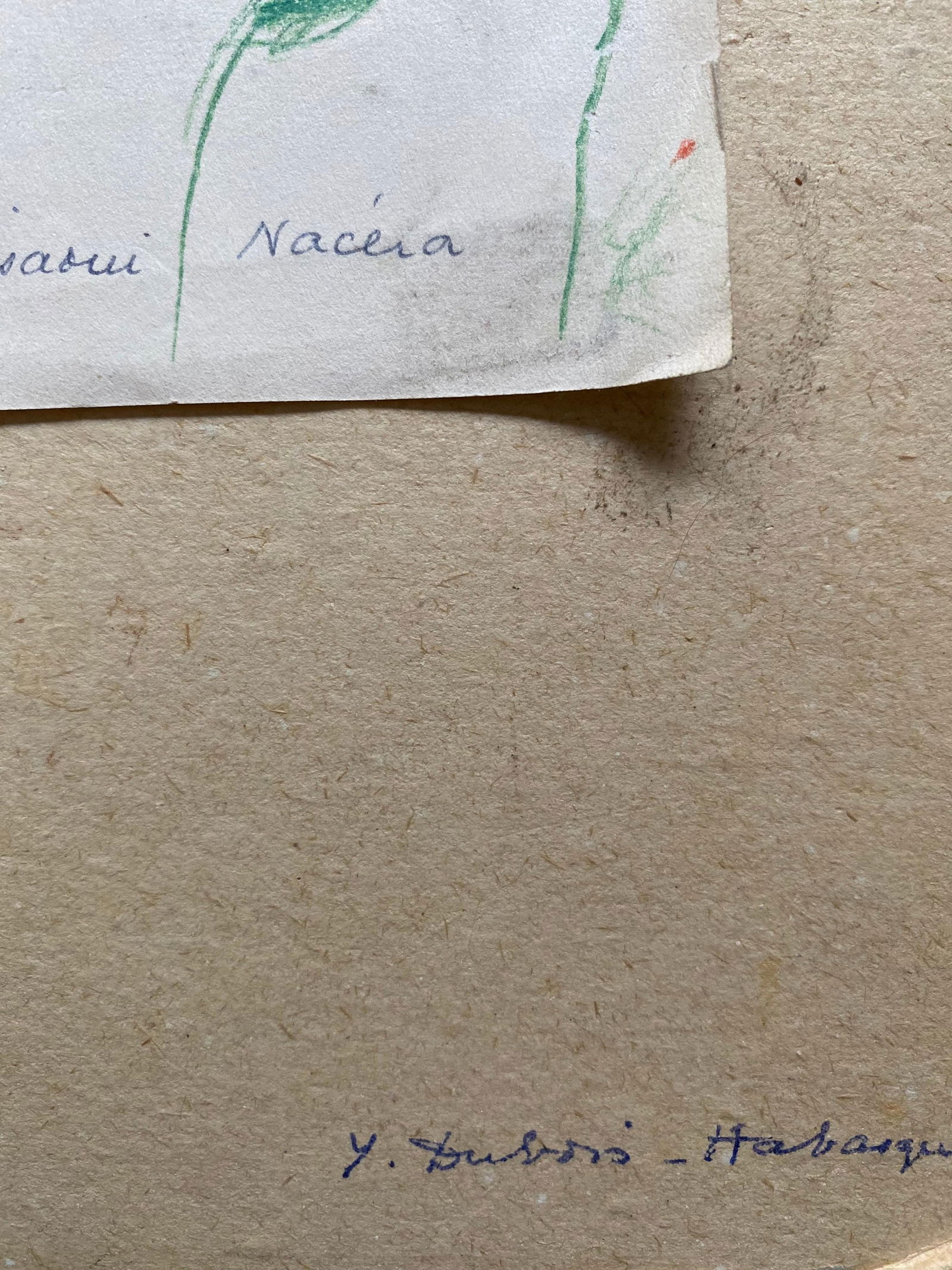 Yvette Dubois-Habasque French Painting, circa 2000s - 3