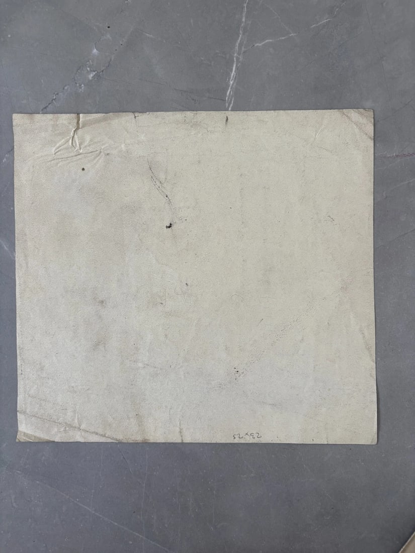 Flower, Floral, Still Life - Drawing Antique Original 19th century - 8