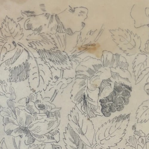 Vintage Drawing Original Floral, Flowers, Still Life 19th century - 4