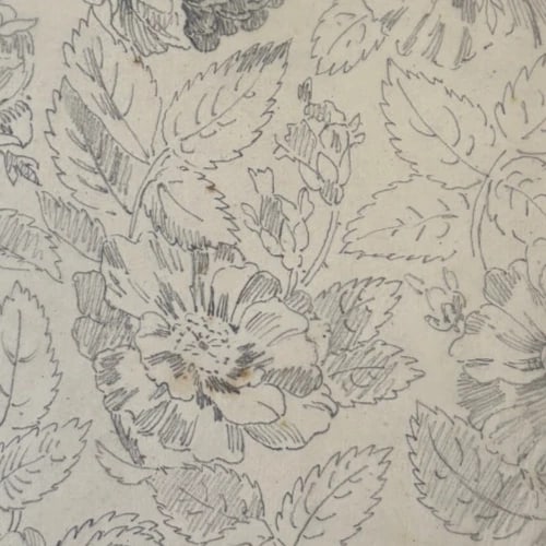 Vintage Drawing Original Floral, Flowers, Still Life 19th century - 5