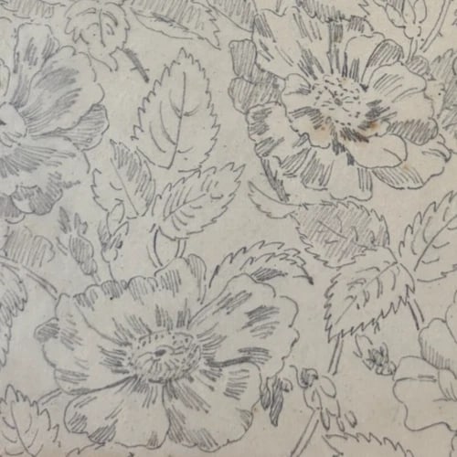 Vintage Drawing Original Floral, Flowers, Still Life 19th century - 6