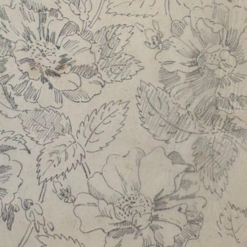 Vintage Drawing Original Floral, Flowers, Still Life 19th century - 7