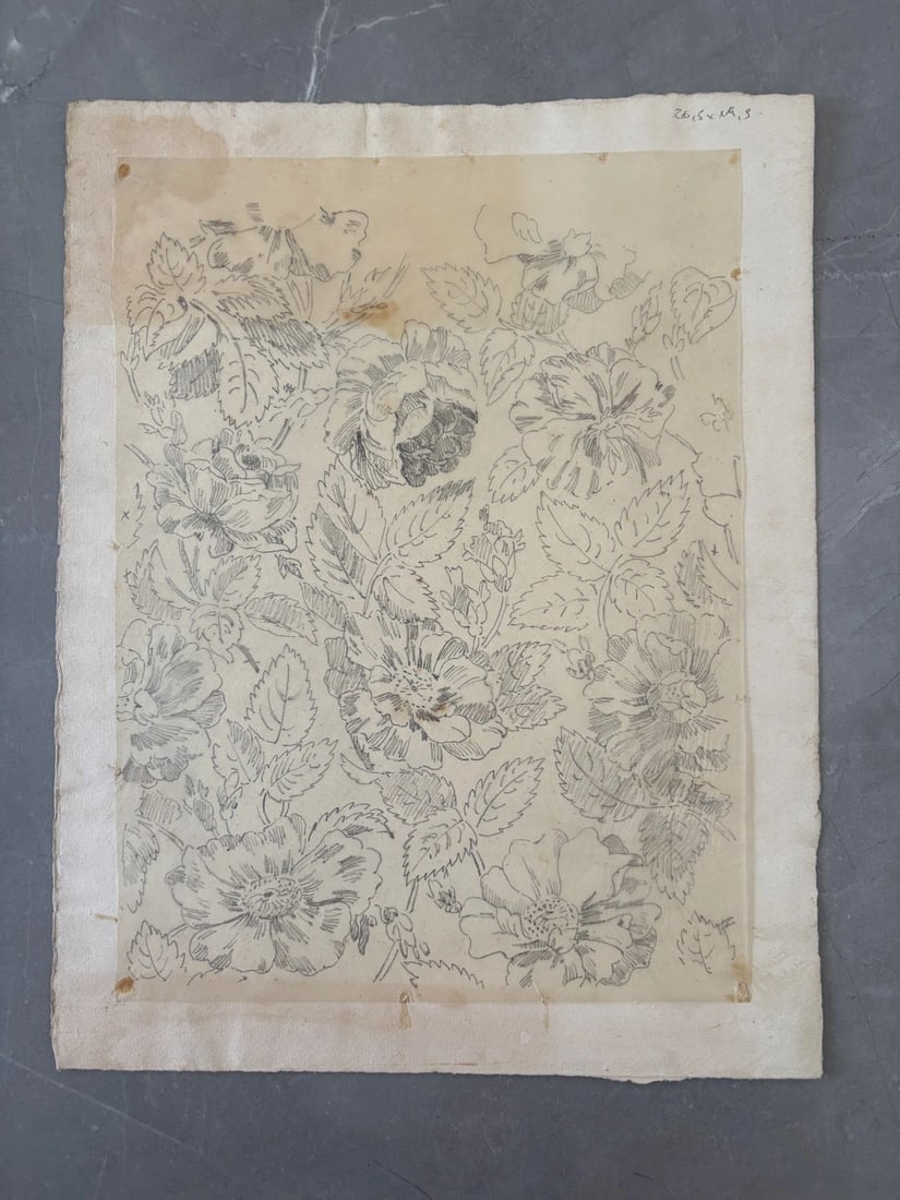 Vintage Drawing Original Floral, Flowers, Still Life 19th century - 8