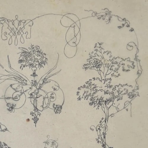 Vintage Drawing Original Floral, Flowers, Still Life 19th century - 3