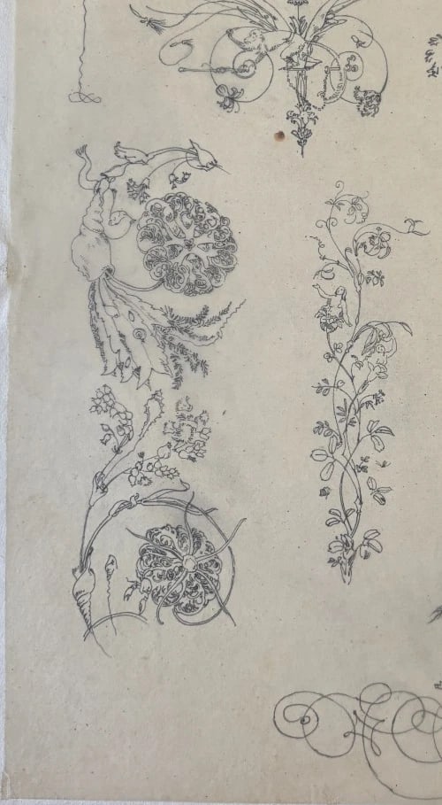 Vintage Drawing Original Floral, Flowers, Still Life 19th century - 5