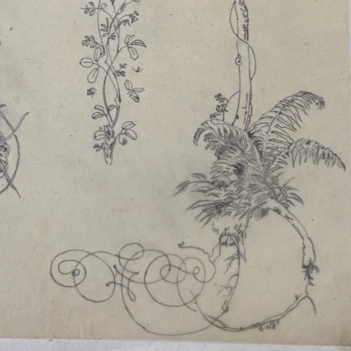 Vintage Drawing Original Floral, Flowers, Still Life 19th century - 6