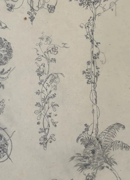 Vintage Drawing Original Floral, Flowers, Still Life 19th century - 7