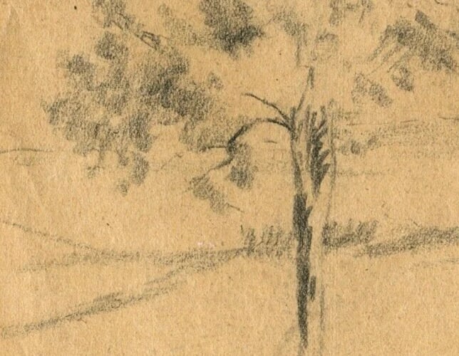 Vintage Pencil Original Drawing Tree circa 1900 Artwork - 2