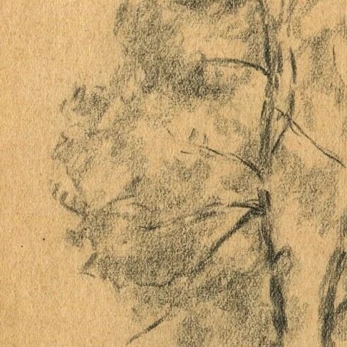 Vintage Pencil Original Drawing Tree circa 1900 Artwork - 3