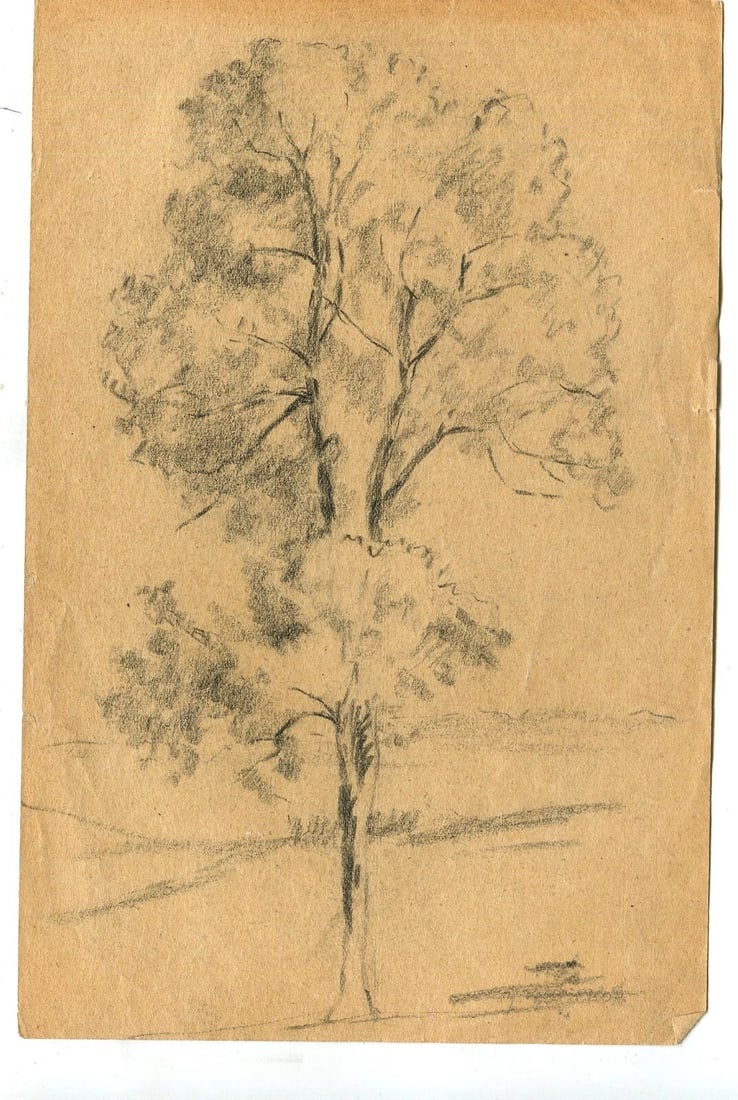 Vintage Pencil Original Drawing Tree circa 1900 Artwork - 4