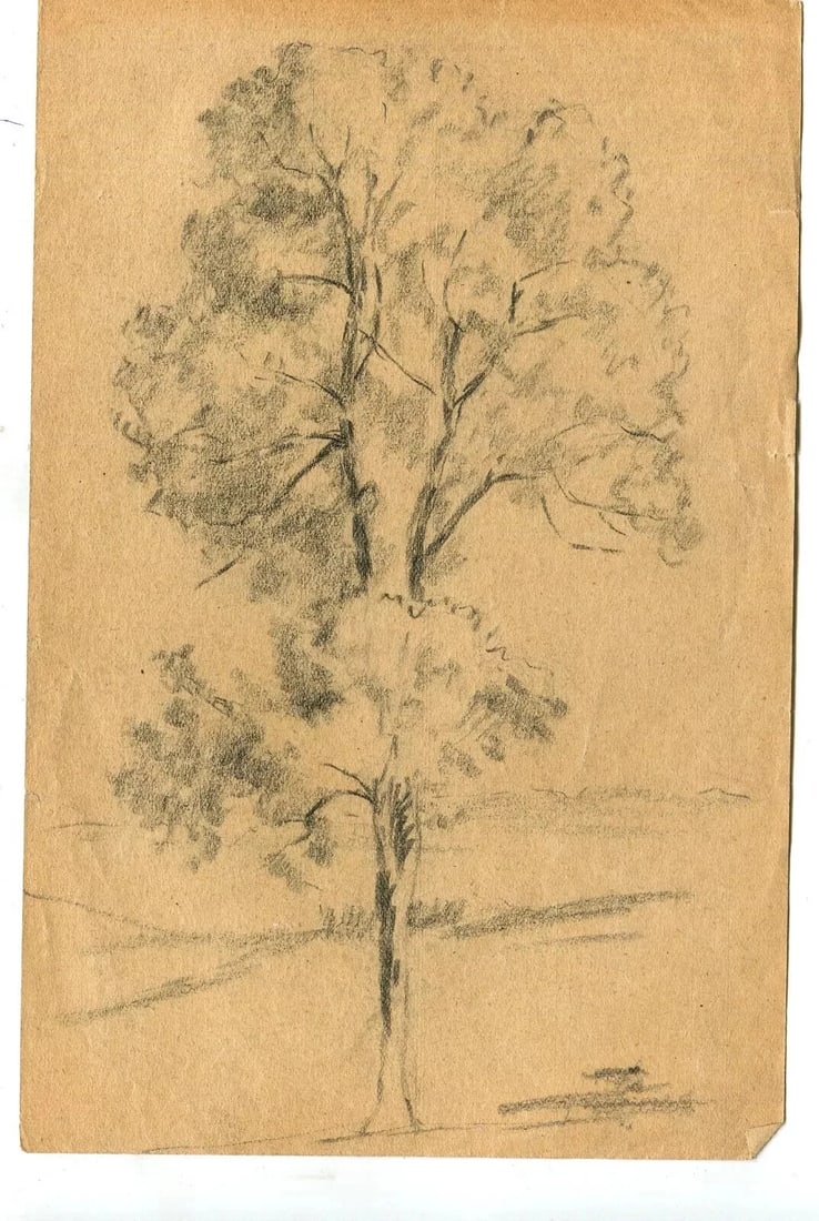 Vintage Pencil Original Drawing Tree circa 1900 Artwork - 6