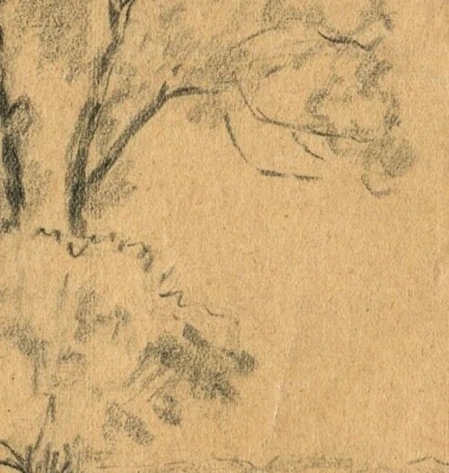 Vintage Pencil Original Drawing Tree circa 1900 Artwork - 7