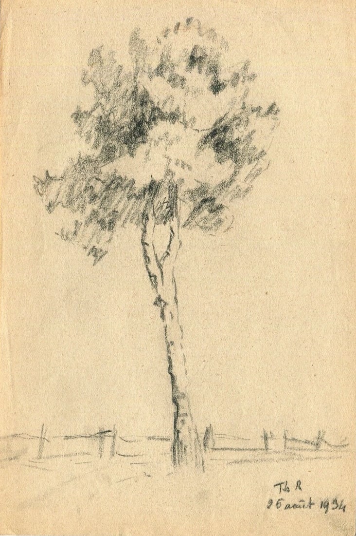 Antique Art Nouveau Original Drawing Pencil Tree Sketch signed Artwork - 2