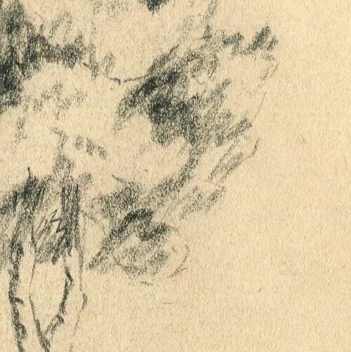 Antique Art Nouveau Original Drawing Pencil Tree Sketch signed Artwork - 3