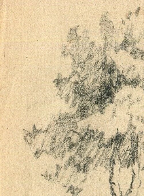 Antique Art Nouveau Original Drawing Pencil Tree Sketch signed Artwork - 4