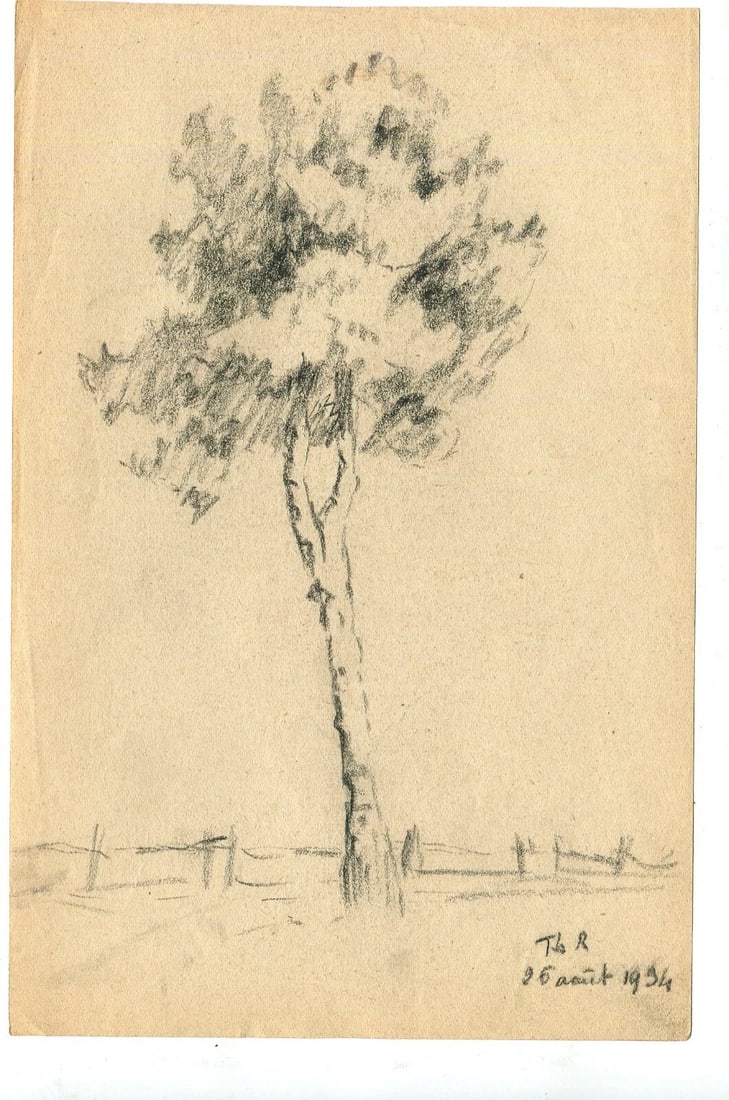 Antique Art Nouveau Original Drawing Pencil Tree Sketch signed Artwork - 7