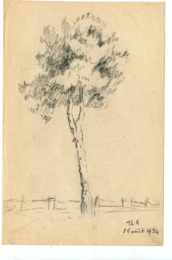 Antique Art Nouveau Original Drawing Pencil Tree Sketch signed Artwork - 8