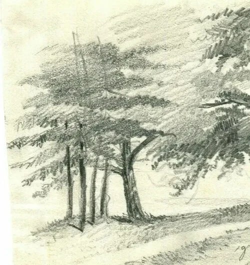 Grand Oak Tree, Lignon 19th Century Nature Study - Drawing Antique Pencil - 3