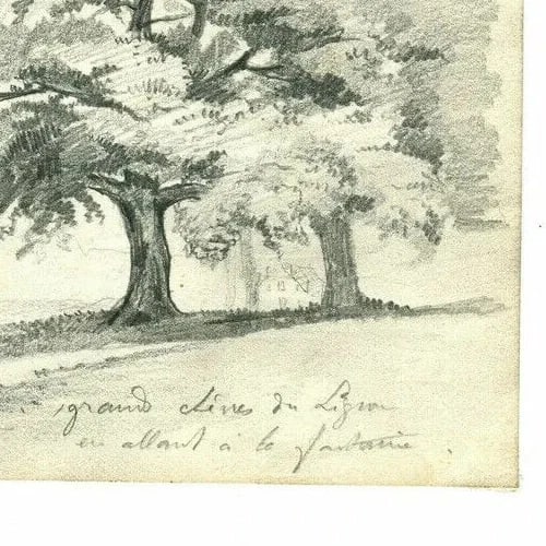 Grand Oak Tree, Lignon 19th Century Nature Study - Drawing Antique Pencil - 5
