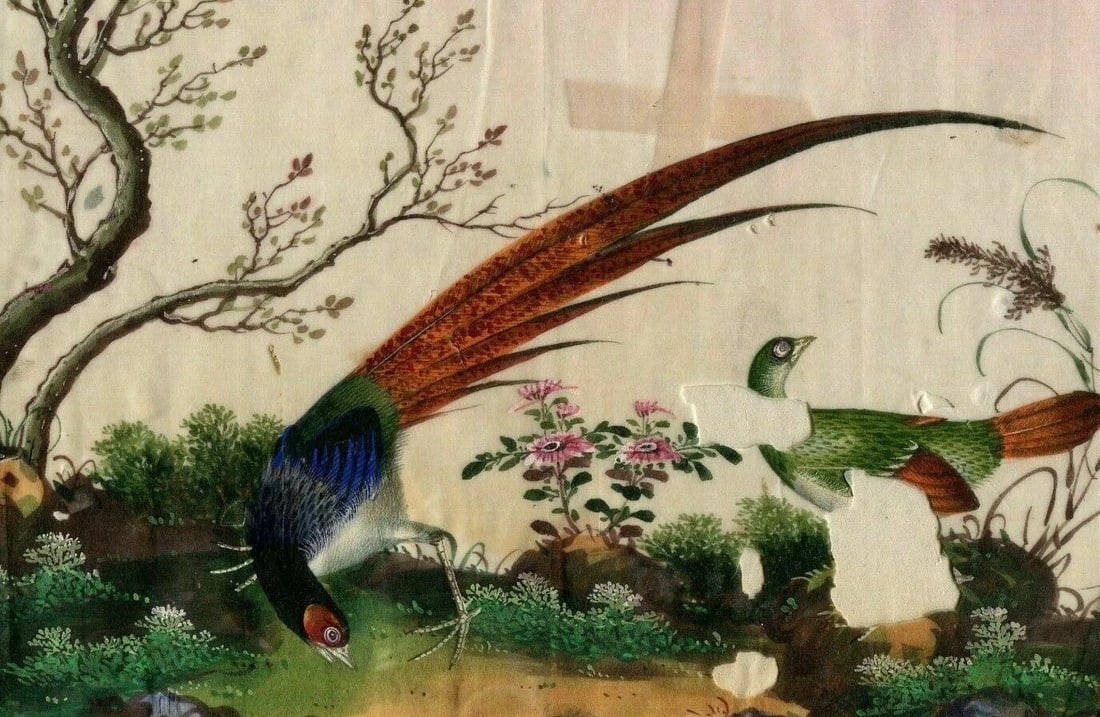 19th century Canton Qing Chinese Peacock Antique Drawing Asian Artwork - 2