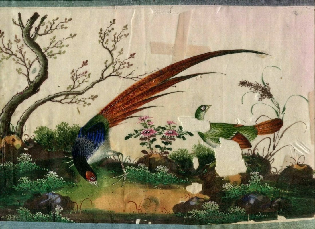 19th century Canton Qing Chinese Peacock Antique Drawing Asian Artwork - 3