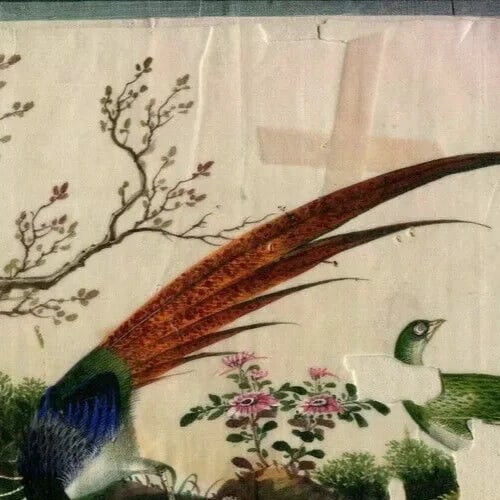19th century Canton Qing Chinese Peacock Antique Drawing Asian Artwork - 5