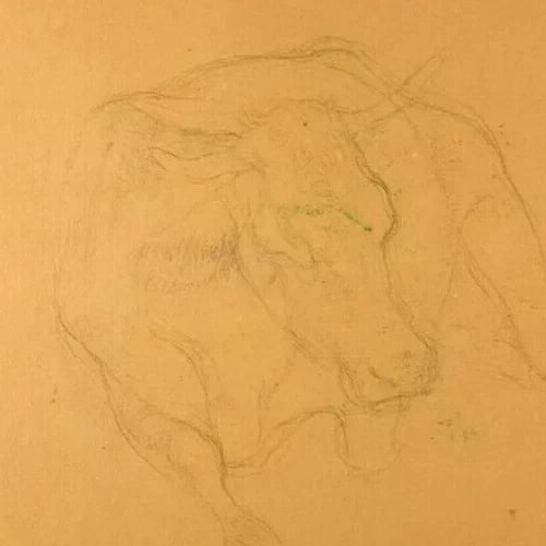 19th signed 1883 - Cow, Animal - Drawing Antique Pencil Original - 2