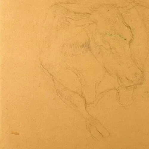 19th signed 1883 - Cow, Animal - Drawing Antique Pencil Original - 3