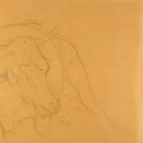 19th signed 1883 - Cow, Animal - Drawing Antique Pencil Original - 5