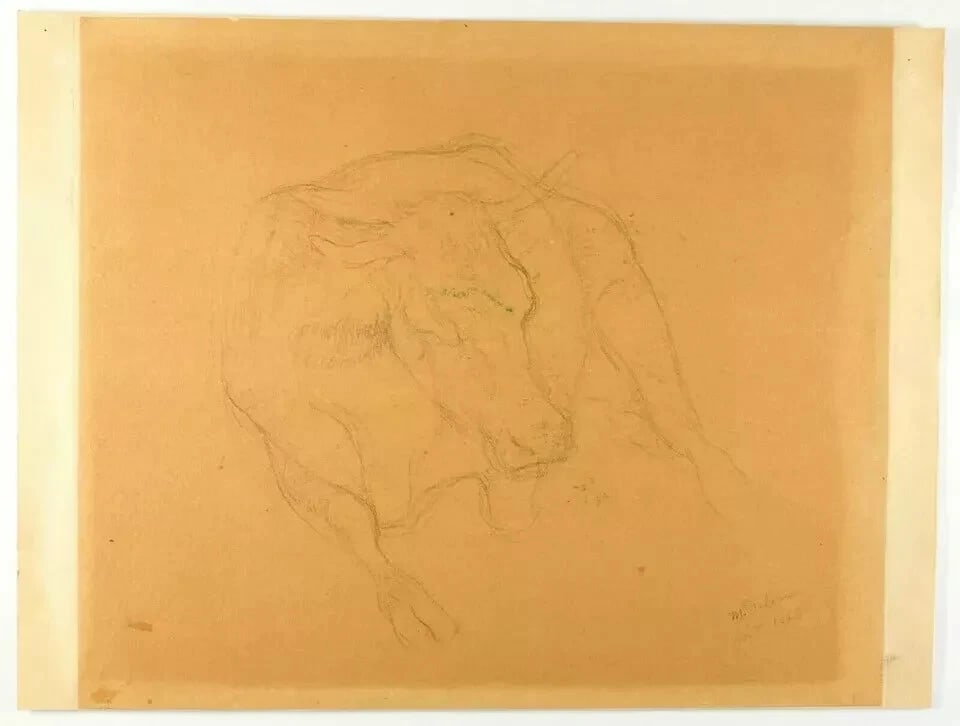 19th signed 1883 - Cow, Animal - Drawing Antique Pencil Original - 7