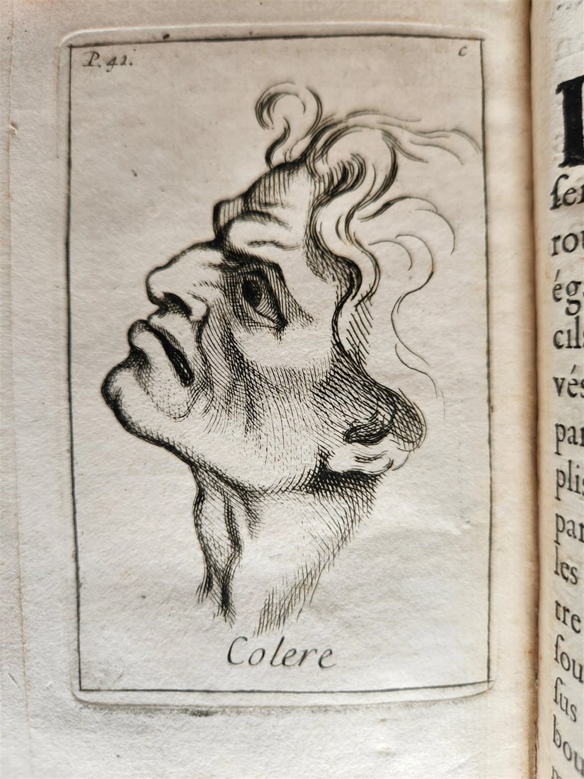 1713 ARTIST'S MANUAL by LE BRUN in FRENCH antique ILLUSTRATED PHYSIOGNOMY - 12