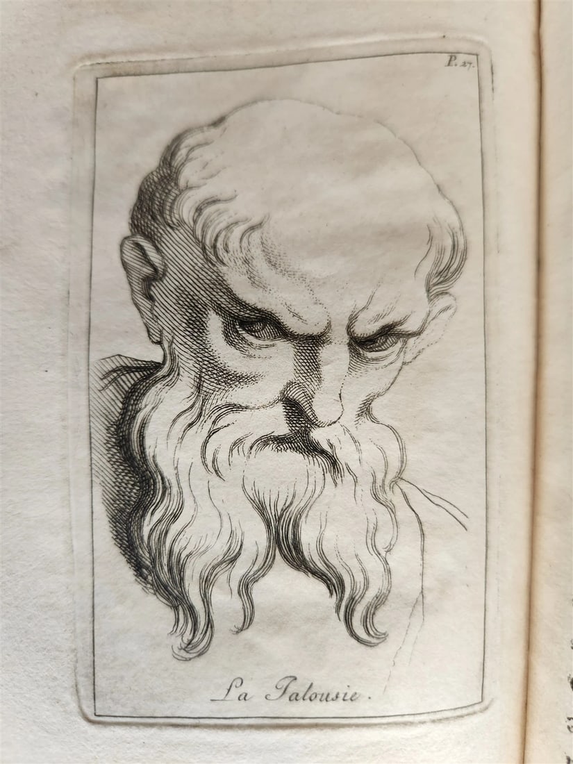 1713 ARTIST'S MANUAL by LE BRUN in FRENCH antique ILLUSTRATED PHYSIOGNOMY - 16