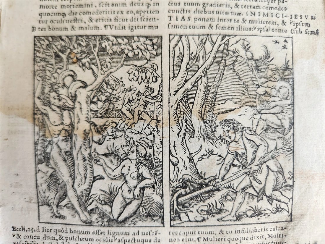 1541 BIBLE in LATIN antique rare BEAUTIFULLY ILLUSTRATED - 4