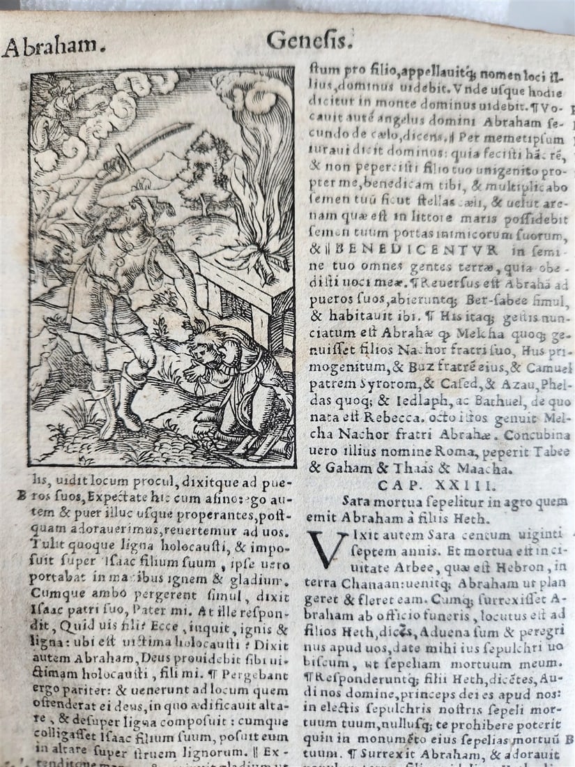 1541 BIBLE in LATIN antique rare BEAUTIFULLY ILLUSTRATED - 6