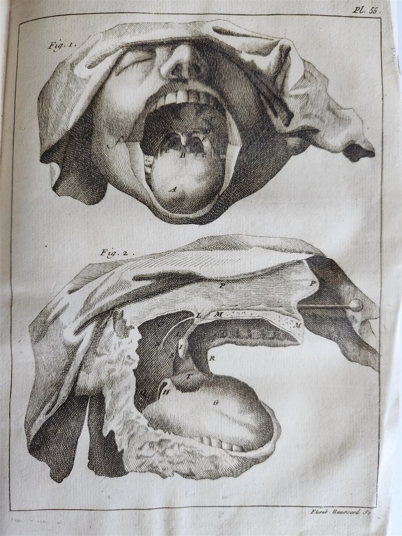 1750 MEDICAL TREATISE ILLUSTRATED ANATOMY by Francois PLANQUE antique V. 3 (1 of 20)