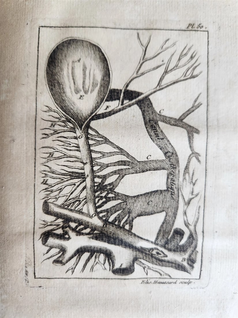 1750 MEDICAL TREATISE ILLUSTRATED ANATOMY by Francois PLANQUE antique V. 3 - 4