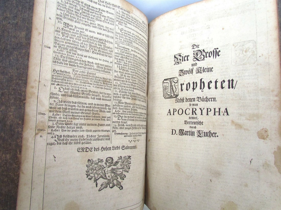 1725 BIBLE ILLUSTRATED LEATHER BOUND MASSIVE FOLIO in GERMAN ANTIQUE BIBLIA - 6