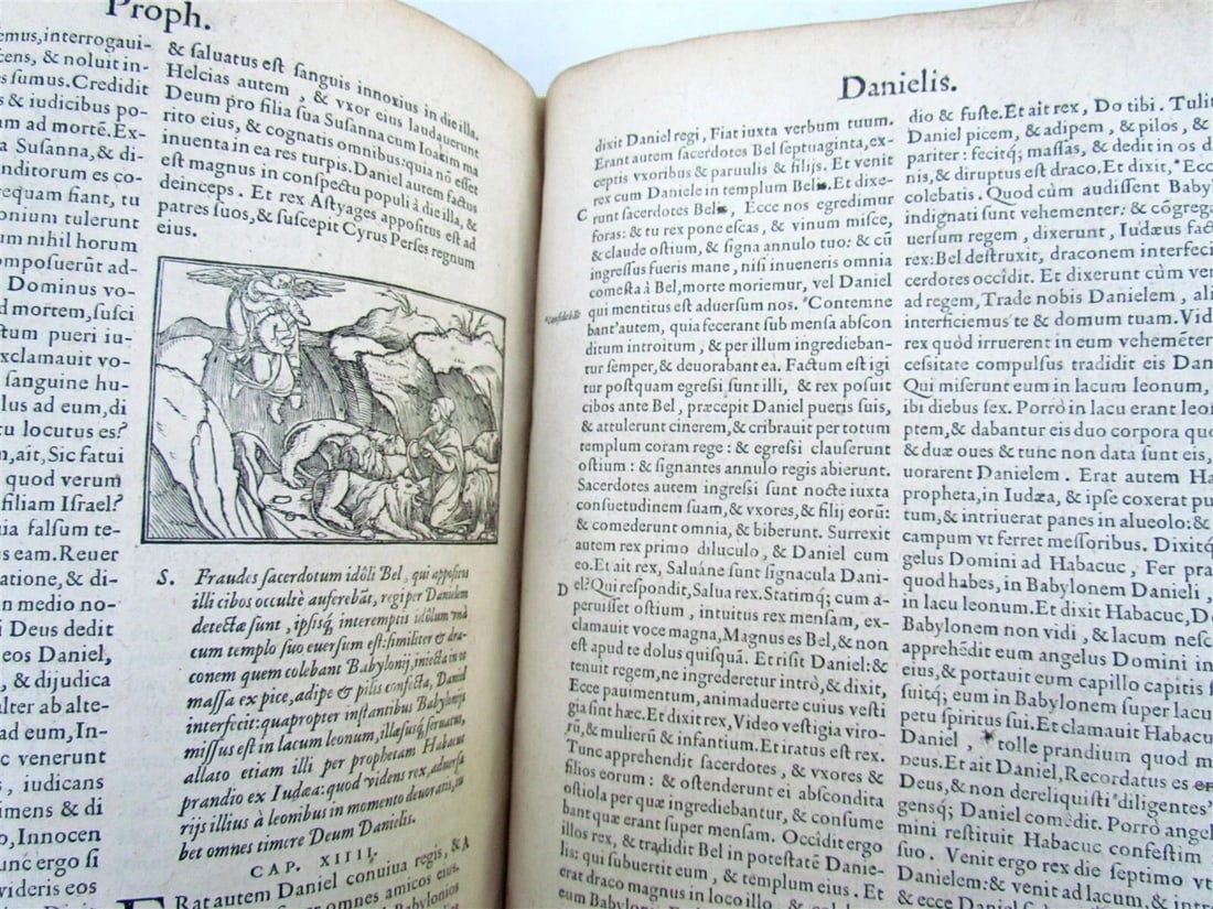 1561 BIBLE ILLUSTRATED FOLIO antique Hebraea Chaldaea Graeca & Latina nomina - 10