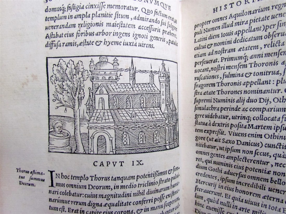 1558 SCANDINAVIA SWEDEN ILLUSTRATED HISTORY Gothorum Sveonumque historia antique - 13