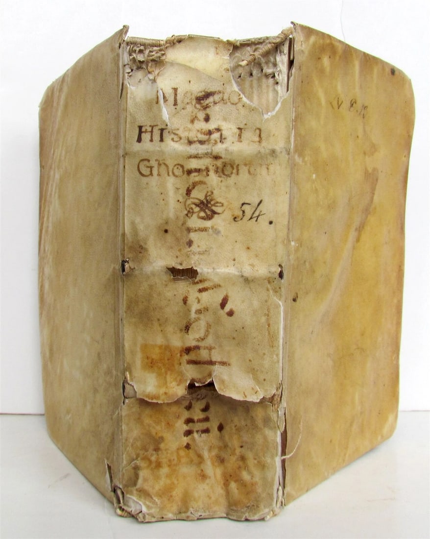 1558 SCANDINAVIA SWEDEN ILLUSTRATED HISTORY Gothorum Sveonumque historia antique - 2