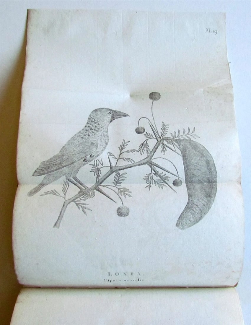 1790 AFRICA TRAVELS Voyages dans le pays des Hottentots ILLUSTRATED antique RARE - 12