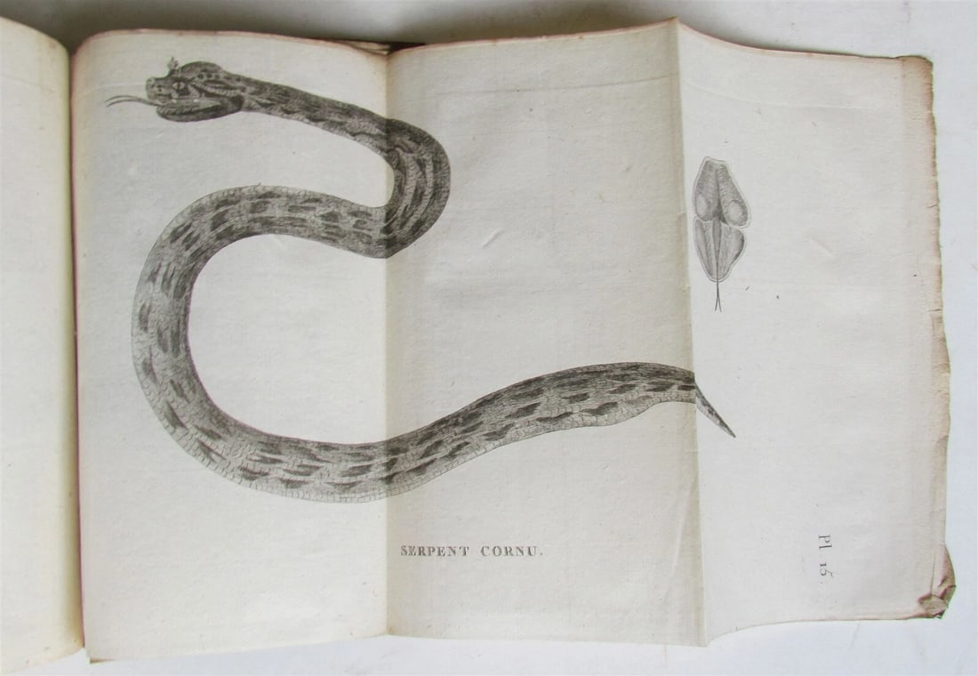 1790 AFRICA TRAVELS Voyages dans le pays des Hottentots ILLUSTRATED antique RARE - 4