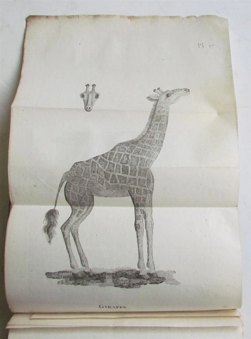 1790 AFRICA TRAVELS Voyages dans le pays des Hottentots ILLUSTRATED antique RARE - 6